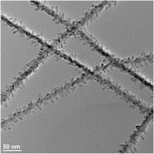 A Spiky CdSe-CdS Core-shell Nanowire.