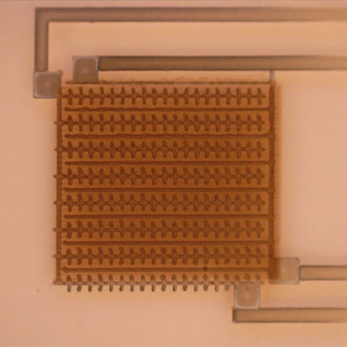 Micrograph Of A CdSe Photosensor