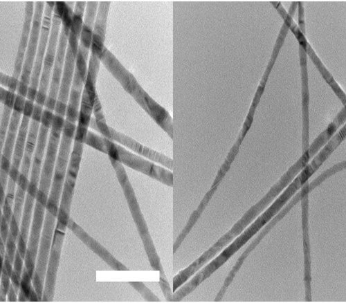 TEM Of 12 Nm CdSe Nanowires