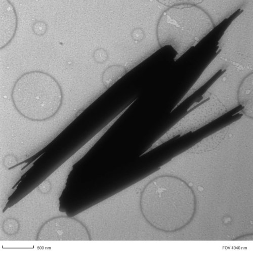 ZnO Nanowires 2