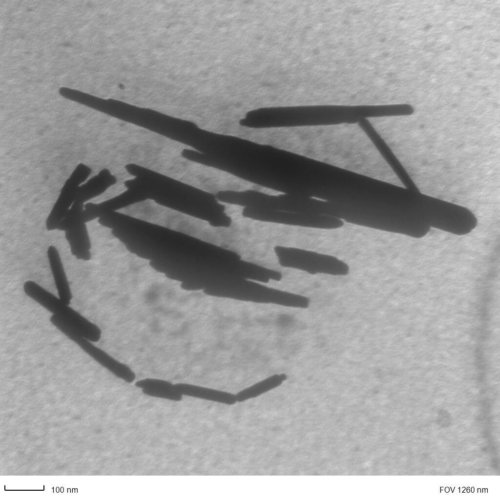 TEM Of Many ZnO Nanorods.